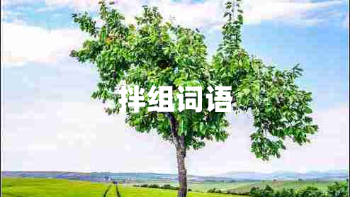 拌組詞語