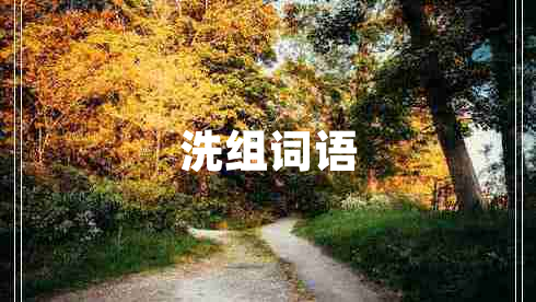 洗組詞語(yǔ)