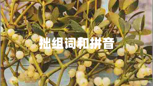 拙組詞和拼音