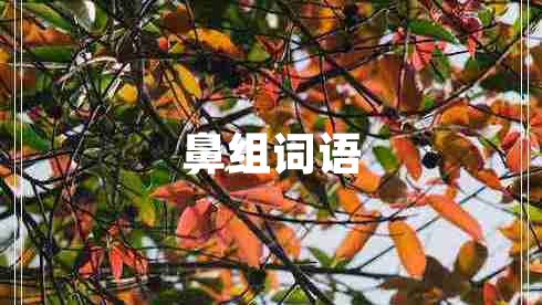 鼻組詞語