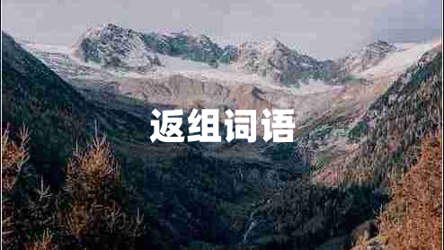 返組詞語(yǔ)