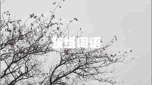 皺組詞語