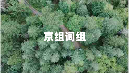 京組詞組