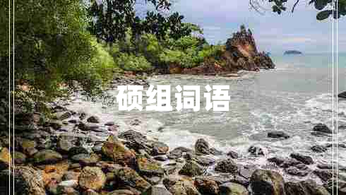 碩組詞語(yǔ)