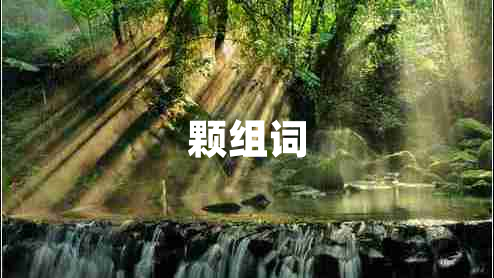 顆組詞