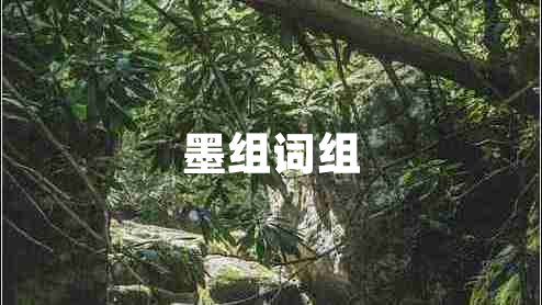 墨組詞組