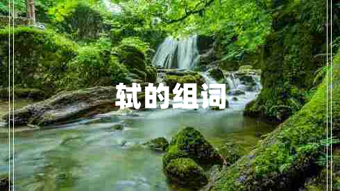 軾的組詞