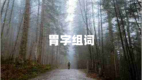 胃字組詞