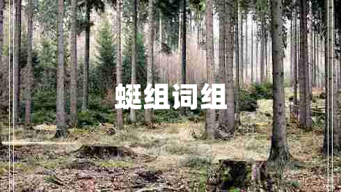 蜓組詞組