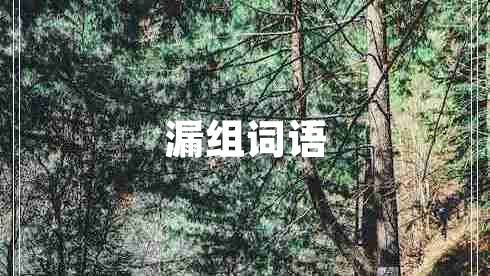 漏組詞語