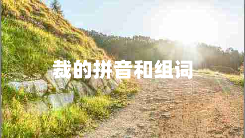 裁的拼音和組詞