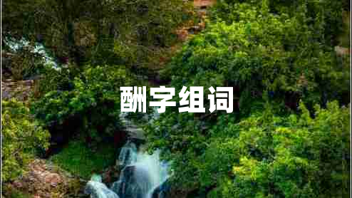 酬字組詞