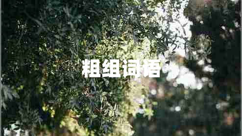 粗組詞語(yǔ)