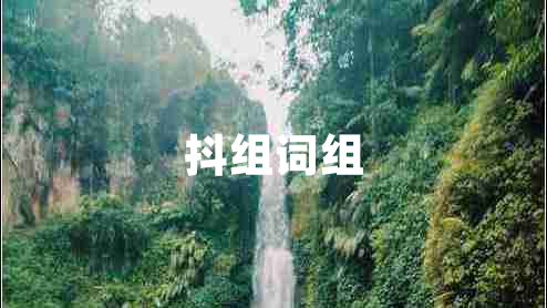 抖組詞組