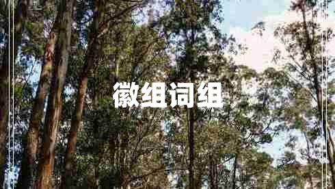 徽組詞組