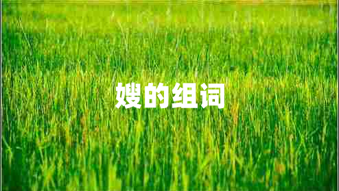嫂的組詞