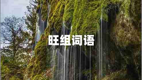 旺組詞語(yǔ)