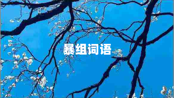 暴組詞語