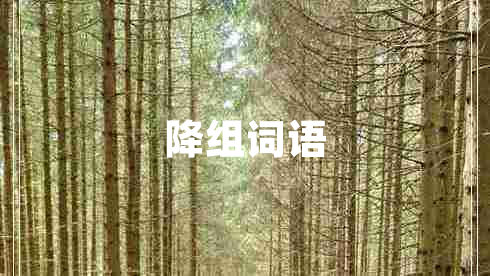 降組詞語(yǔ)