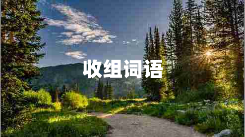收組詞語(yǔ)