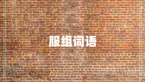 服組詞語(yǔ)