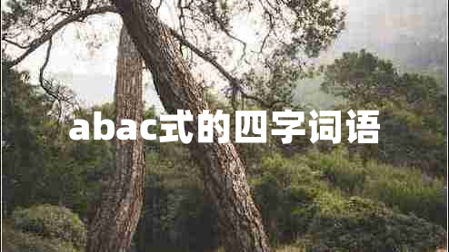 abac式的四字詞語(yǔ)