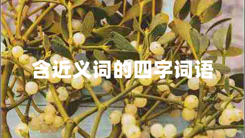 含近義詞的四字詞語(yǔ)