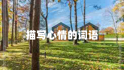描寫(xiě)心情的詞語(yǔ)