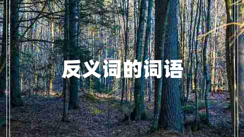 反義詞的詞語(yǔ)