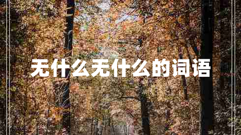 無什么無什么的詞語