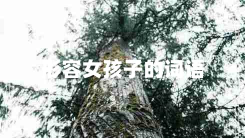 形容女孩子的詞語(yǔ)