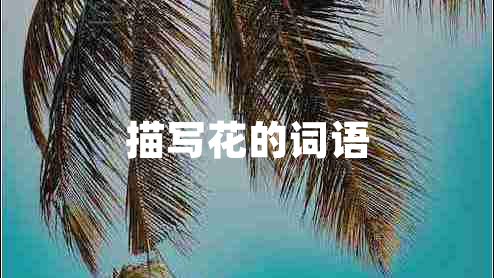 描寫(xiě)花的詞語(yǔ)