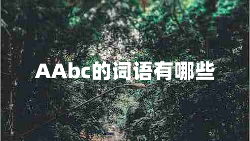 AAbc的詞語(yǔ)有哪些