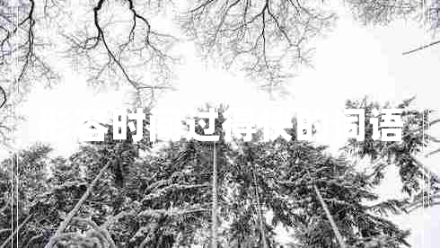形容時(shí)間過(guò)得快的詞語(yǔ)