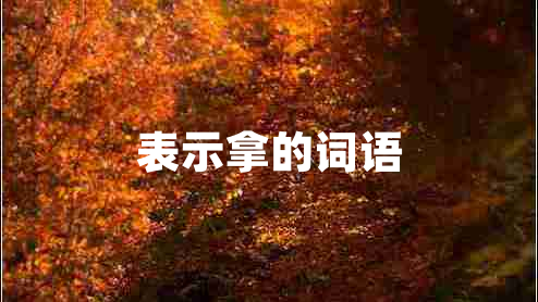表示拿的詞語(yǔ)