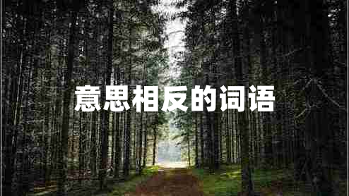 意思相反的詞語(yǔ)
