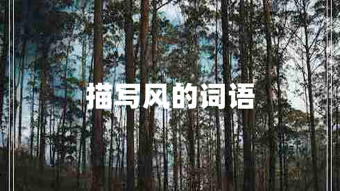 描寫(xiě)風(fēng)的詞語(yǔ)