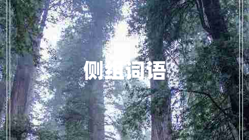 側組詞語(yǔ)