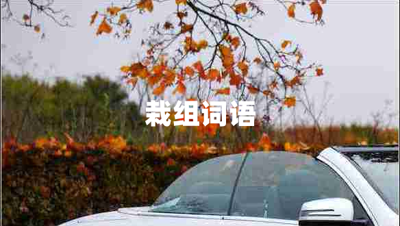 栽組詞語(yǔ)