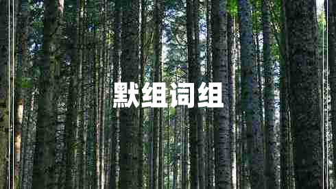 默組詞組