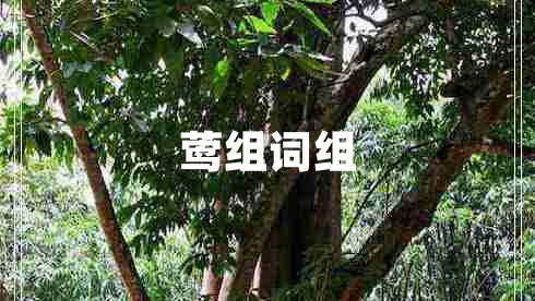 鶯組詞組