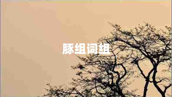 豚組詞組