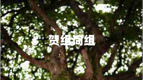 賀組詞組