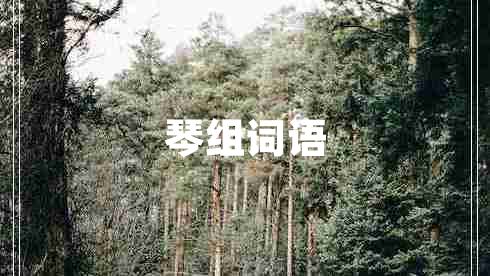 琴組詞語