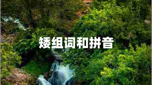 矮組詞和拼音