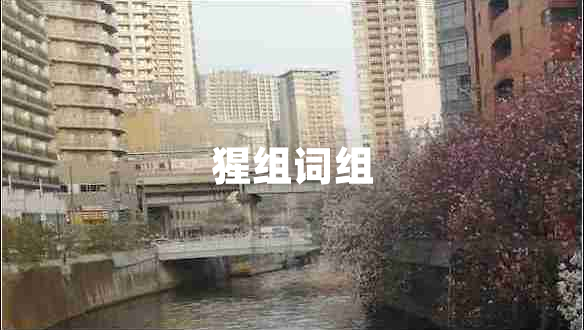 猩組詞組