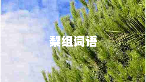 梨組詞語(yǔ)