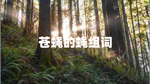 蒼蠅的蠅組詞