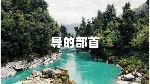 導的部首