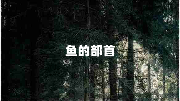 魚(yú)的部首
